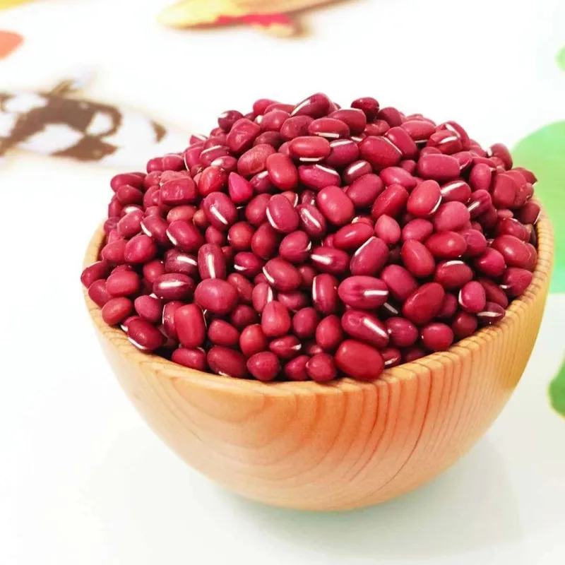 High quality Red Bean powder Ormosia Jumble Beads Azuki Bean Hongdou Ormosia Jequirity Jumble hammas beads
High quality Red Bean powder Ormosia Jumble Beads Azuki Bean Hongdou Ormosia Jequirity Jumble hammas beads