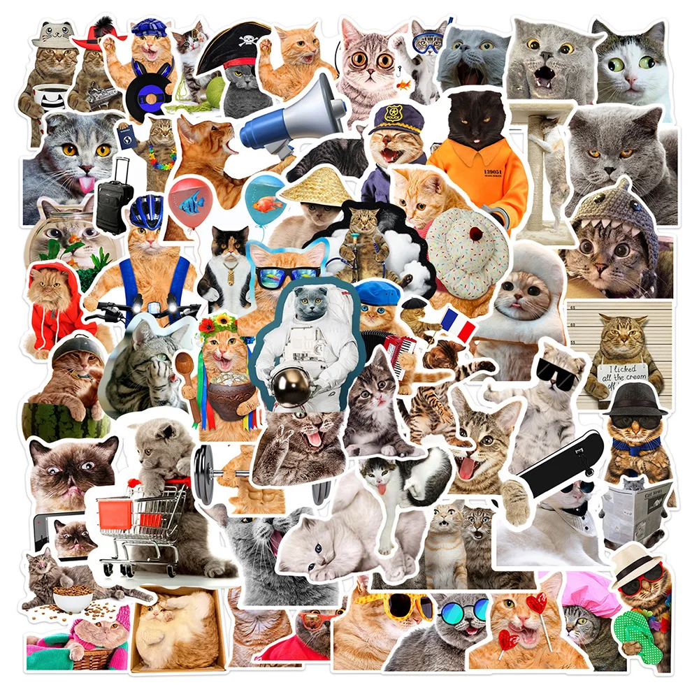 10/30/66pcs Funny MEME Cats Stickers Aesthetic Cute Animal Cartoon Decals DIY Phone Case Water Bottle Laptop Kawaii Kids Sticker
10/30/66pcs Funny MEME Cats Stickers Aesthetic Cute Animal Cartoon Decals DIY Phone Case Water Bottle Laptop Kawaii Kids Sticker