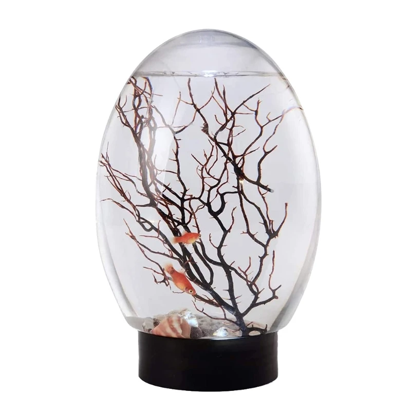 360 Desktop Aquarium Kit Novelty Design with LED Base for Kids/Fishing Lovers No Need to Change Water/Feed
360 Desktop Aquarium Kit Novelty Design with LED Base for Kids/Fishing Lovers No Need to Change Water/Feed