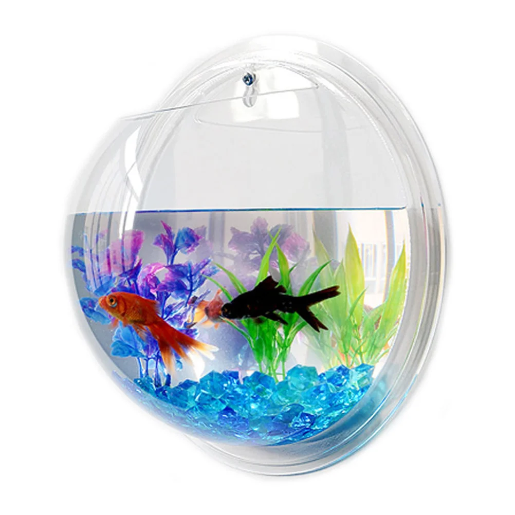 Hanging Wall Planters Sphere Aquarium Betta Fish Home Toys Exotic Tank Decorations Glass Bowl Shaped
Hanging Wall Planters Sphere Aquarium Betta Fish Home Toys Exotic Tank Decorations Glass Bowl Shaped