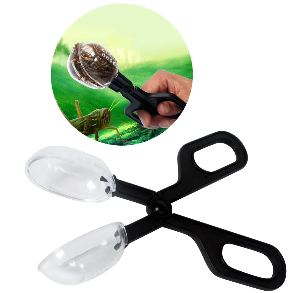 Reptile Tongs Feeding Cricket Tong Scooper Poop Reptiles Feeder Clip Crickets Guinea Clamps Gecko Pen Lizard Snake Grabber
Reptile Tongs Feeding Cricket Tong Scooper Poop Reptiles Feeder Clip Crickets Guinea Clamps Gecko Pen Lizard Snake Grabber