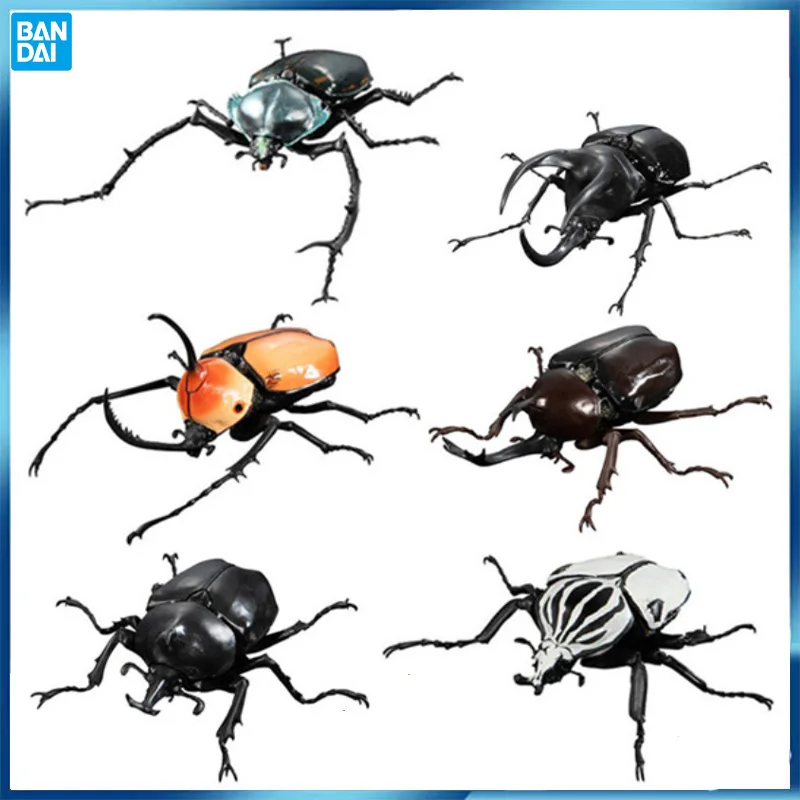 

Bandai Original Insect Simulation Model Gashapon Allomyrina Chalcosoma Unicorn Beetle Action Figure Model Ornament Toy Gifts