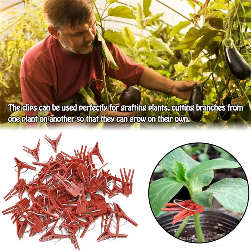 

New 50PCS Plant Grafting Clip Plastic Gardening Tool For Cucumber Eggplant Watermelon, Round Mouth Flat Mouth Anti-fall Clamp