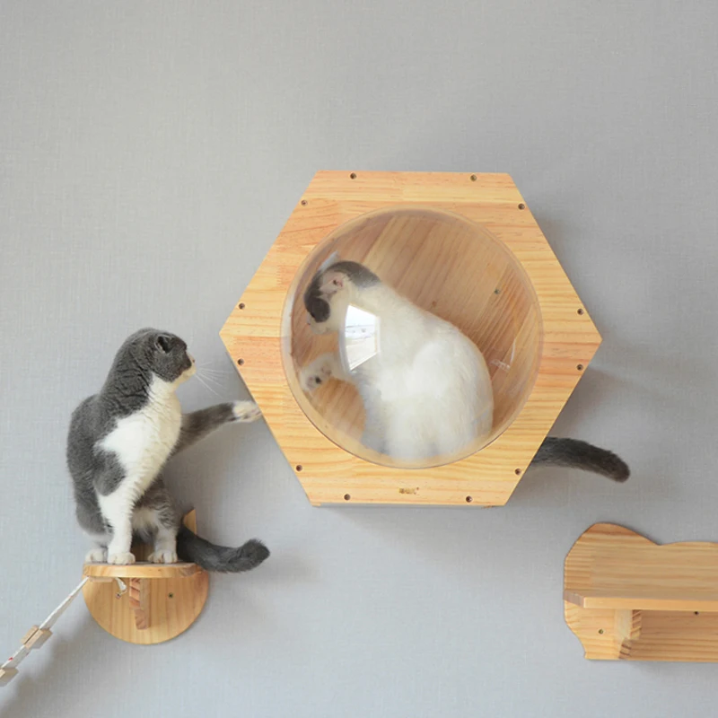 Wall-mounted Cat Climbing Frame Cat Tree Bed Space Capsule Roped Cat Bridge House Cave Sisal Scratching Post Pet Furniture
Wall-mounted Cat Climbing Frame Cat Tree Bed Space Capsule Roped Cat Bridge House Cave Sisal Scratching Post Pet Furniture