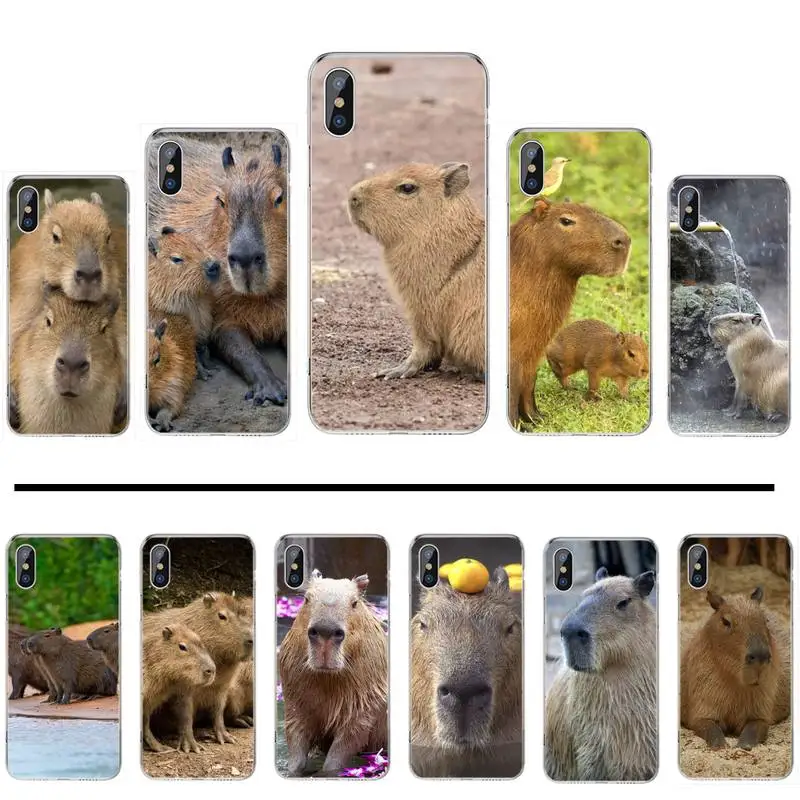 Capybara animal pattern Phone Case Transparent soft For iphone 11 13 12 14 x xs xr pro max mini plus
Capybara animal pattern Phone Case Transparent soft For iphone 11 13 12 14 x xs xr pro max mini plus