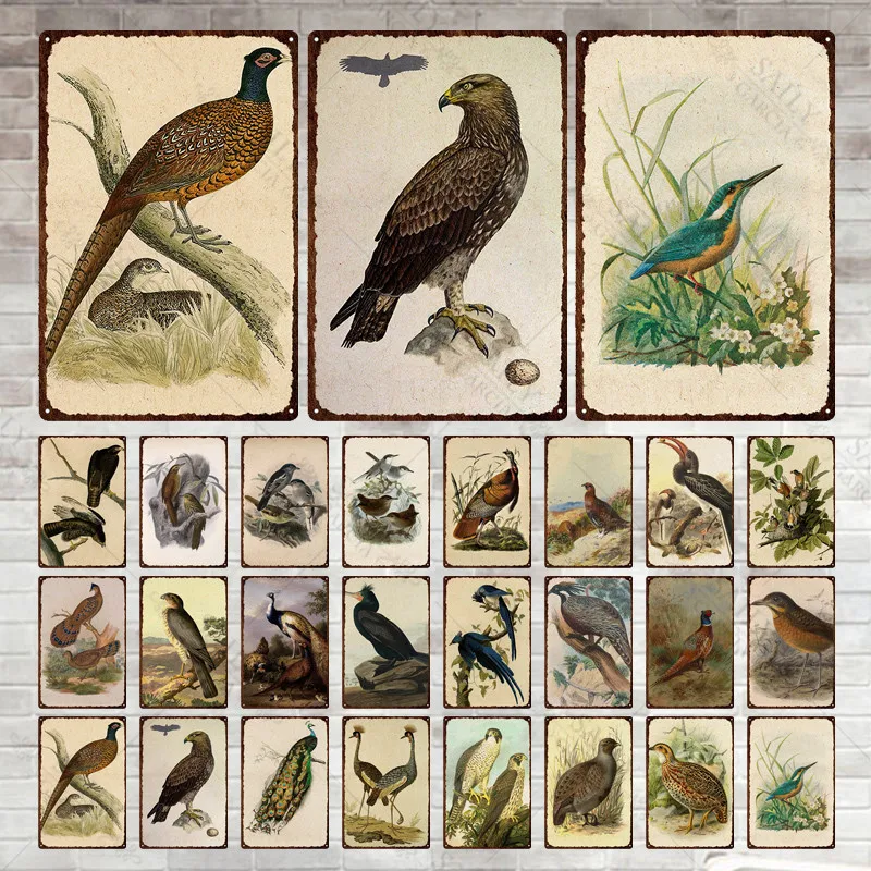 Retro Artwork Print Metal Tin Sign Plates Birds Collection Eagle Owl Peacock Tin Sign Posters Bedroom Decor Metal Tin Plaques
Retro Artwork Print Metal Tin Sign Plates Birds Collection Eagle Owl Peacock Tin Sign Posters Bedroom Decor Metal Tin Plaques