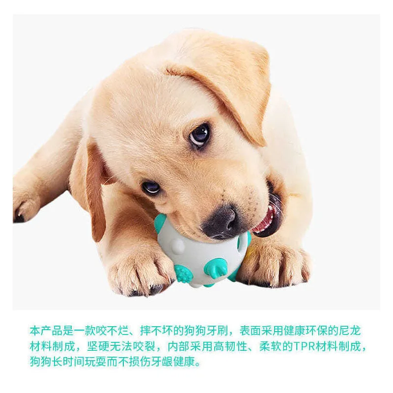 Dog Toy Puppy Alone To Relieve Boredom Artifact Sound Ball Method Fight Golden Retriever Large Dog Molar Bite-resistant Pet Supp
Dog Toy Puppy Alone To Relieve Boredom Artifact Sound Ball Method Fight Golden Retriever Large Dog Molar Bite-resistant Pet Supp