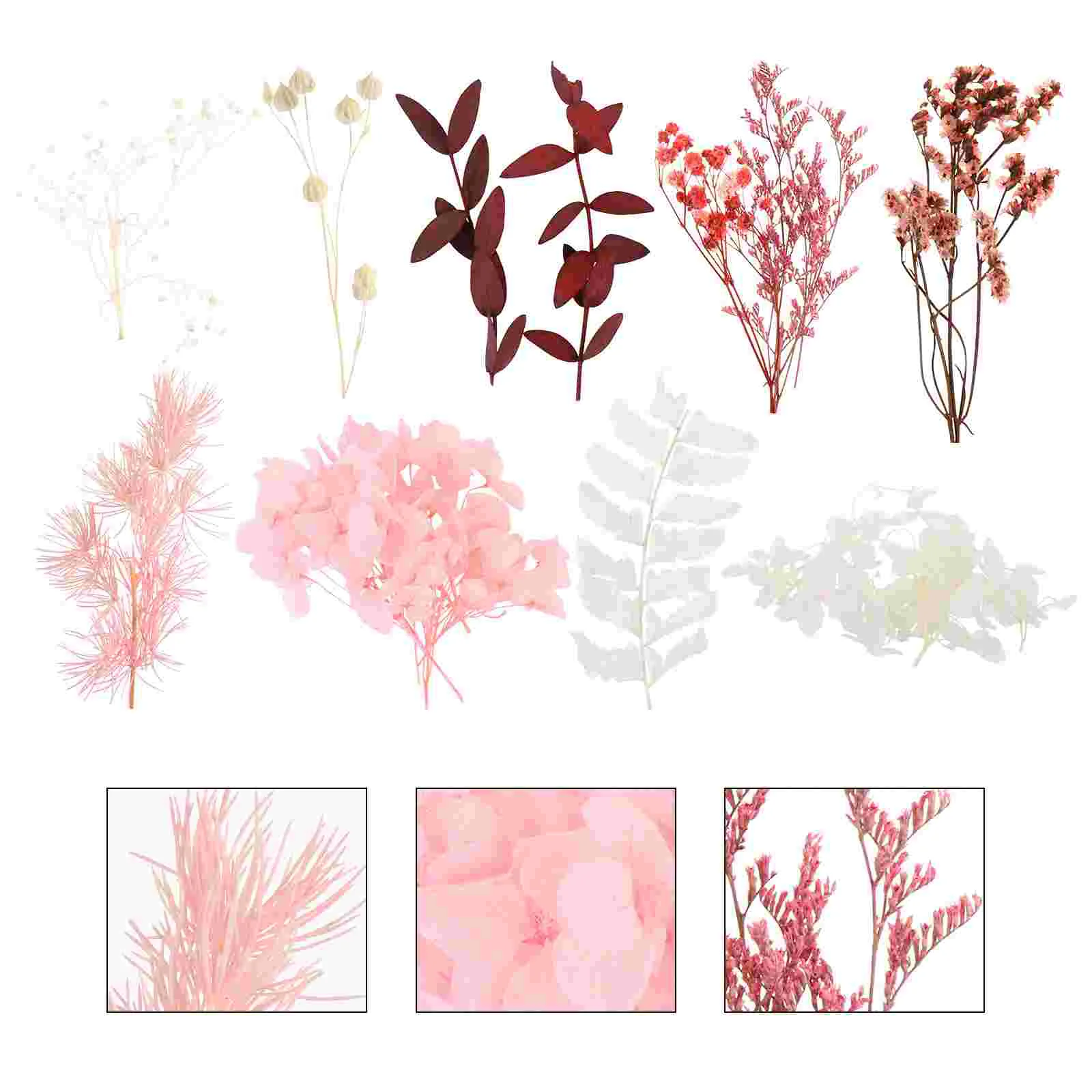 Dried Flowersflower Pressed Resin Making Scrapbookingjewelry Moldsdiy Nail Scented Crafts Soap Decals Leaf Material Natural Real
Dried Flowersflower Pressed Resin Making Scrapbookingjewelry Moldsdiy Nail Scented Crafts Soap Decals Leaf Material Natural Real