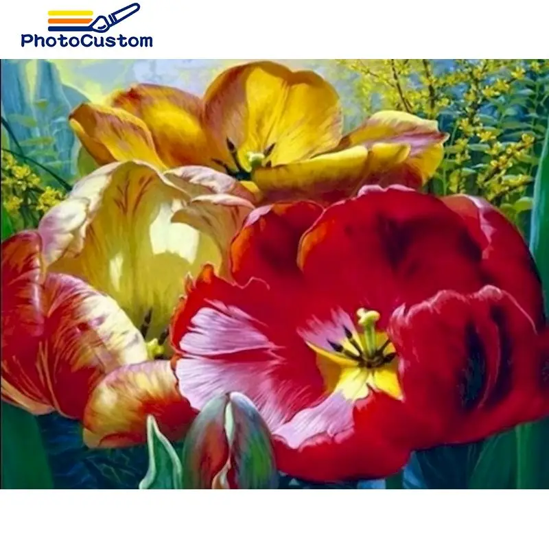 PhotoCustom Oil Painting By Numbers Flowers Red and yellow Paint Canvas Coloring Picture DIY For adult HandPainted Home Decorati
PhotoCustom Oil Painting By Numbers Flowers Red and yellow Paint Canvas Coloring Picture DIY For adult HandPainted Home Decorati