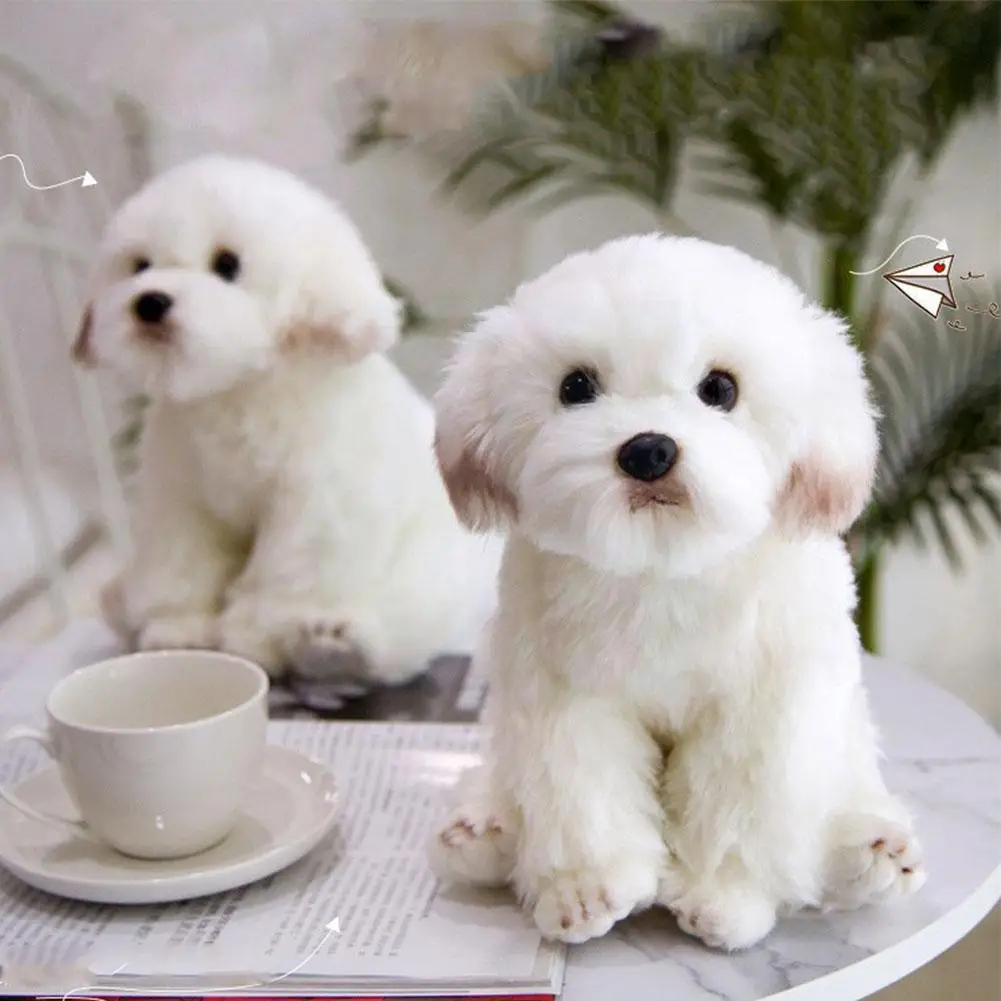 Maltese Stuffed Dog Plush Toy Cute Simulation Pets Fluffy Baby Dolls Birthday Gifts For Children Bichon Frise Puppy Plush T N6x0
Maltese Stuffed Dog Plush Toy Cute Simulation Pets Fluffy Baby Dolls Birthday Gifts For Children Bichon Frise Puppy Plush T N6x0