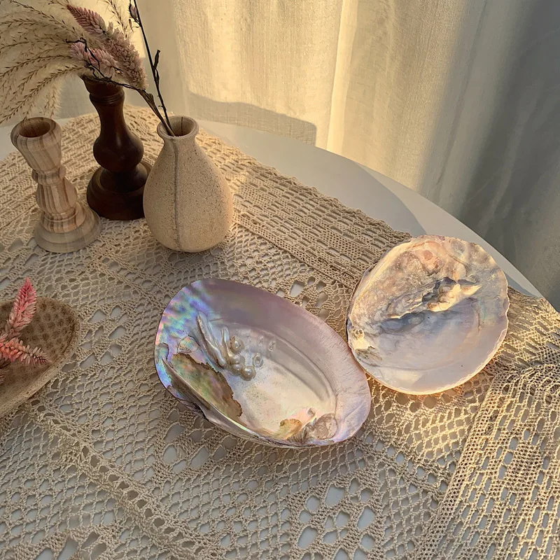 Ins Korean-style Pearl River Mussel Jewelry Storage Tray Natural Large Shell Specimen Nordic Jewelry Background Photo Props
Ins Korean-style Pearl River Mussel Jewelry Storage Tray Natural Large Shell Specimen Nordic Jewelry Background Photo Props