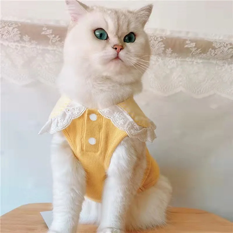 Lace Laciness Collar Vest Dogs Clothes Kitten Solid Small Dog Clothing Cat Kawaii Soft Summer Thin Teddy Chihuahua Pet Products
Lace Laciness Collar Vest Dogs Clothes Kitten Solid Small Dog Clothing Cat Kawaii Soft Summer Thin Teddy Chihuahua Pet Products