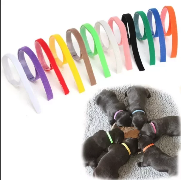 2022NEW Dog's Collars Puppy Kitten Identification Collar Pets Supplies Kitten Whelping ID Collar Bands For Small Dogs Cats
2022NEW Dog's Collars Puppy Kitten Identification Collar Pets Supplies Kitten Whelping ID Collar Bands For Small Dogs Cats
