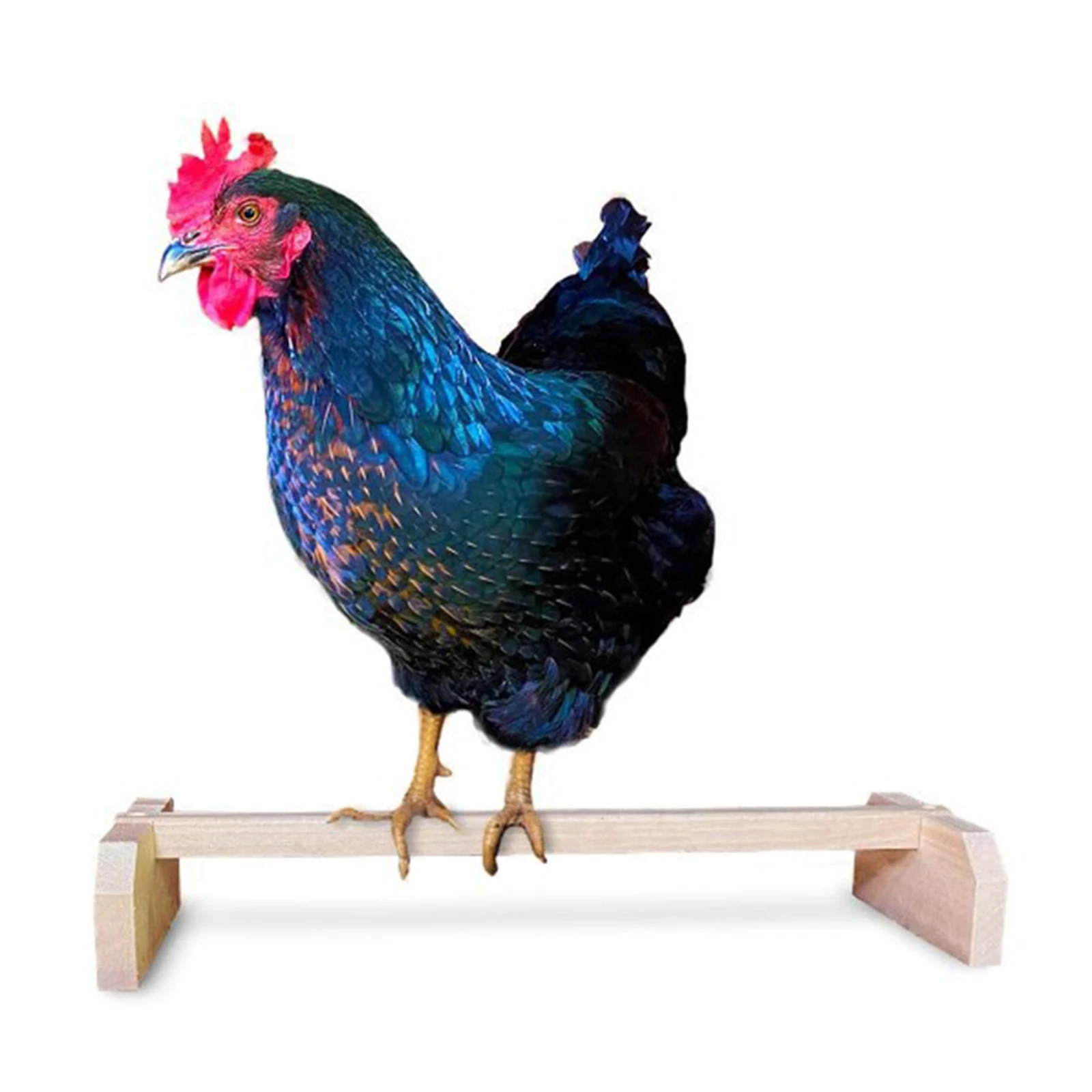 Decoration False Cock Chicks Coop Chook Chicken Perch Rocking Horse Bird Roosting Bar Solid Accessories Solid Construction
Decoration False Cock Chicks Coop Chook Chicken Perch Rocking Horse Bird Roosting Bar Solid Accessories Solid Construction