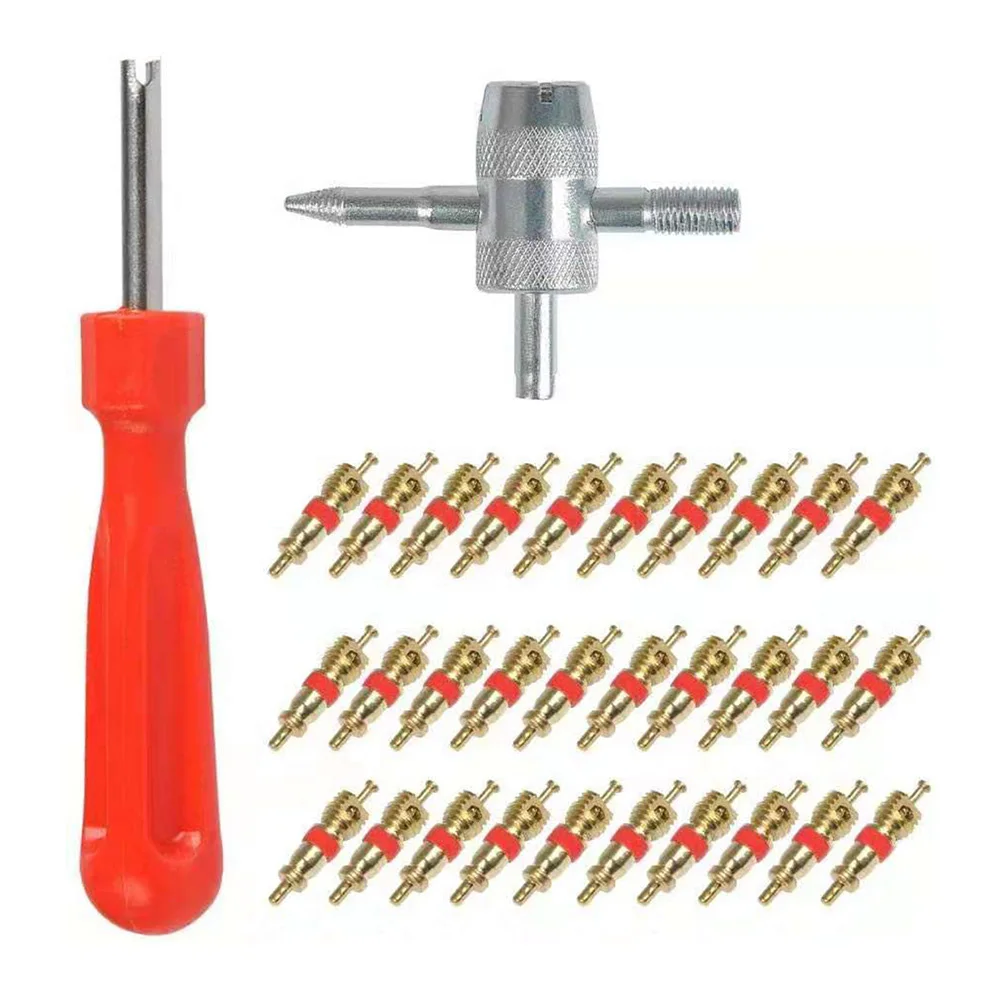 32Pcs/set Tire Repair Install Tools Kit For Car Bicycle Motorcycle Tire Valve Stem Core Quick Removal Installation Repair Tool
32Pcs/set Tire Repair Install Tools Kit For Car Bicycle Motorcycle Tire Valve Stem Core Quick Removal Installation Repair Tool