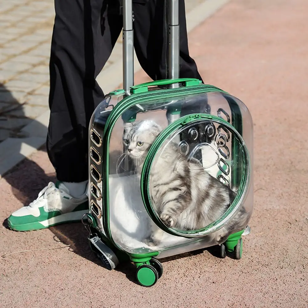 Outdoor Transparent Space Capsule Cats/Dogs Pet Backpack Air Box Pet Trolley Case Carry Bag
Outdoor Transparent Space Capsule Cats/Dogs Pet Backpack Air Box Pet Trolley Case Carry Bag