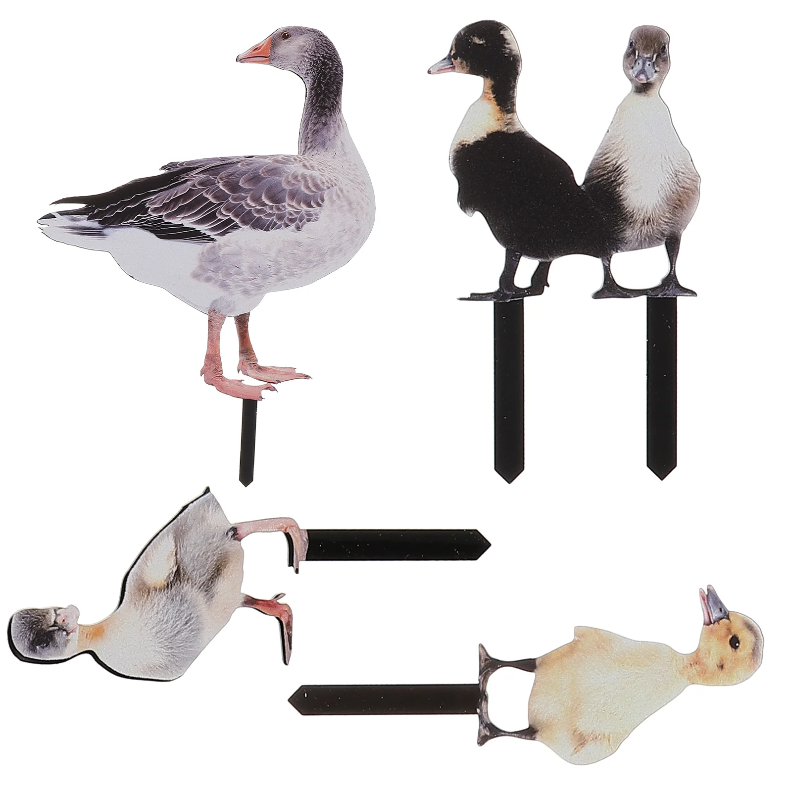 Duck Garden Outdoor Adornment Yard Animal Stakes Spring Ornaments Banana Lawn Sign Acrylic Decor
Duck Garden Outdoor Adornment Yard Animal Stakes Spring Ornaments Banana Lawn Sign Acrylic Decor