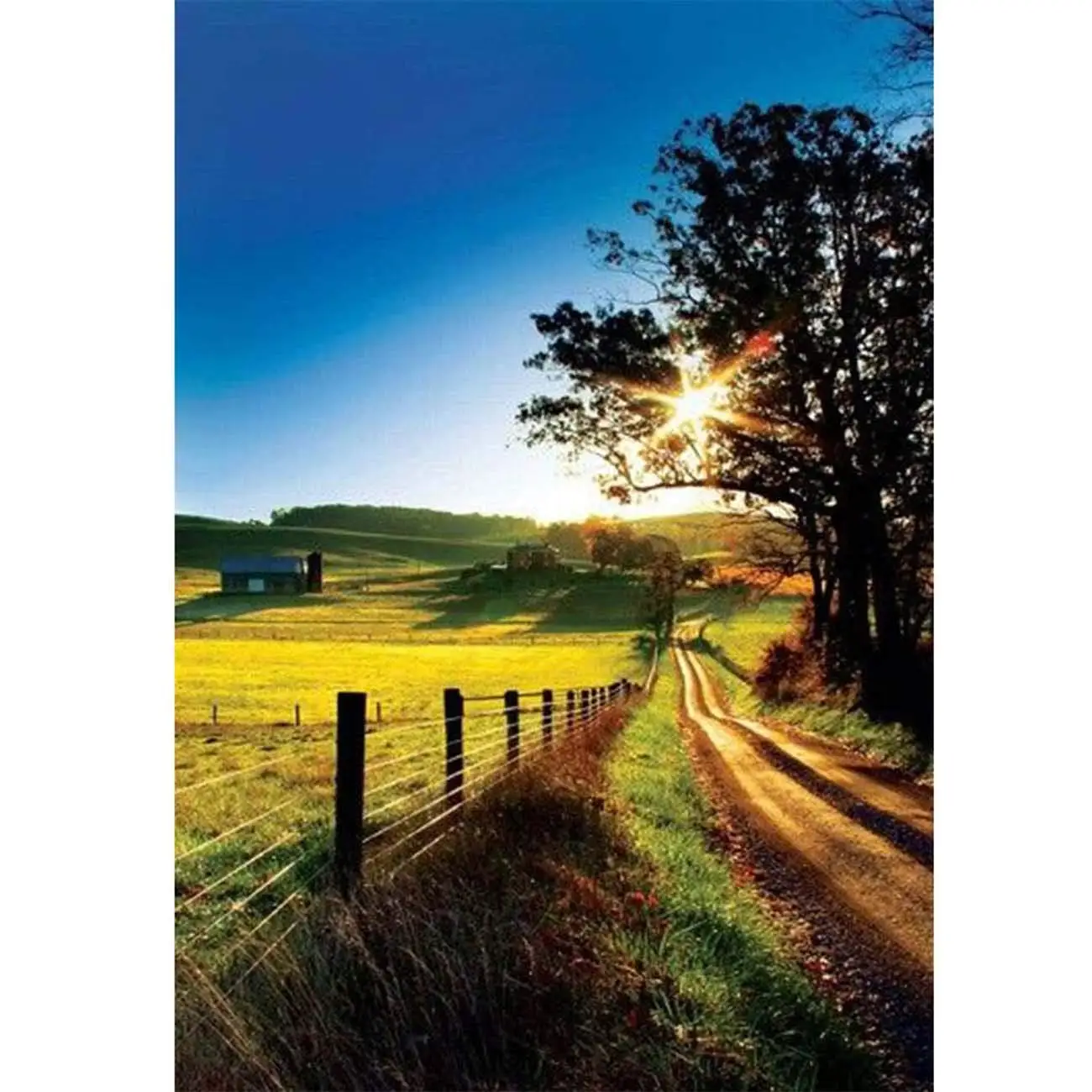 5D Diamond Painting Spring Sunset Path Tree Scenery Full Drill by Number Kits for Adults, DIY Diamond Set Arts Craft a0852
5D Diamond Painting Spring Sunset Path Tree Scenery Full Drill by Number Kits for Adults, DIY Diamond Set Arts Craft a0852
