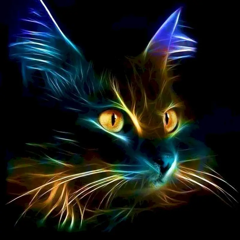 GATYZTORY Diy Frame Painting By Number Luminous Cat Animals Picture By Numbers Acrylic Paint On Canvas Home Decors Diy Kits
GATYZTORY Diy Frame Painting By Number Luminous Cat Animals Picture By Numbers Acrylic Paint On Canvas Home Decors Diy Kits