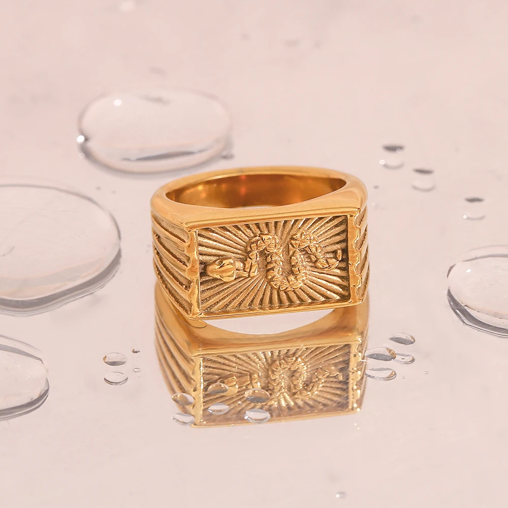 Waterproof Hypoallergenic Snake Sunburst Stamped Rectangle Signet Rings For Woman Vintage Animal Snake Rings Jewelry For Female
Waterproof Hypoallergenic Snake Sunburst Stamped Rectangle Signet Rings For Woman Vintage Animal Snake Rings Jewelry For Female