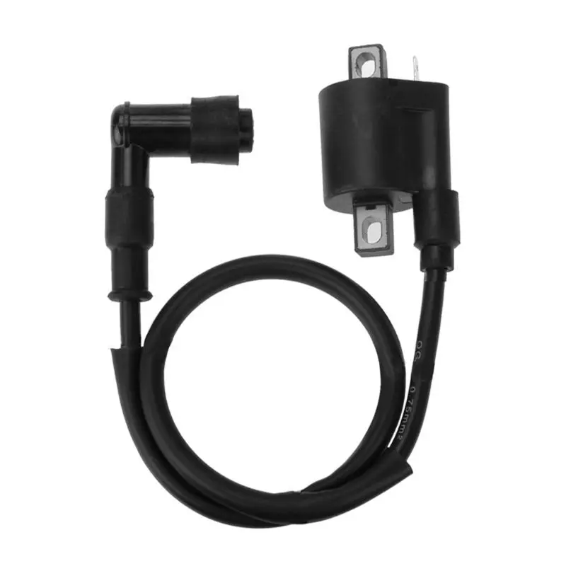 For 125cc 150cc 200cc 250cc Scooter High Pressure Ignition Coil for SPARK plug F19A 
For 125cc 150cc 200cc 250cc Scooter High Pressure Ignition Coil for SPARK plug F19A