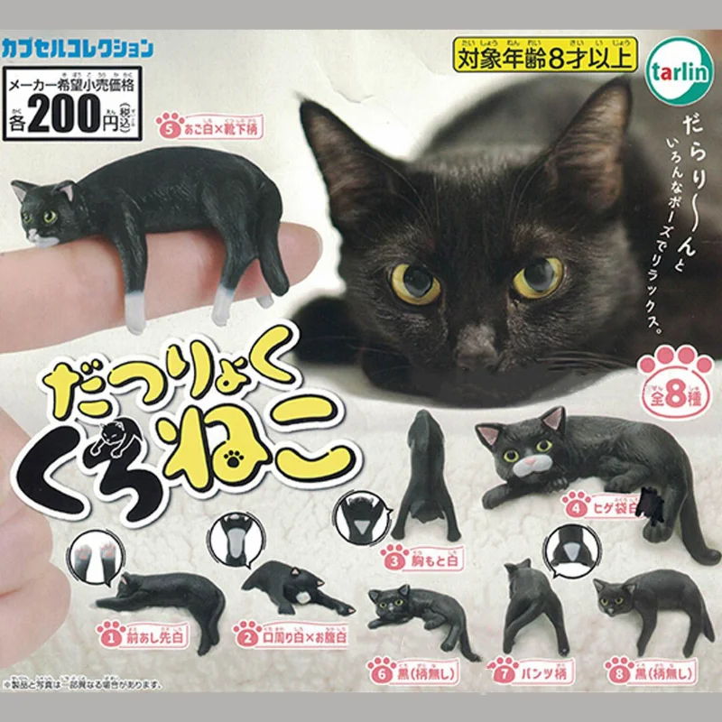 TARLIN Kawaii Cute Gashapon Figure Anime Pussycat Cat Pet Miniature Items Capsule Toy Figurine
TARLIN Kawaii Cute Gashapon Figure Anime Pussycat Cat Pet Miniature Items Capsule Toy Figurine