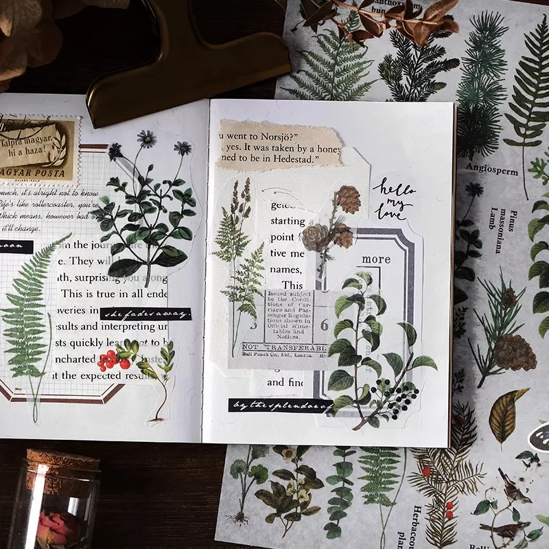 Mushroom Retro Forest Plant Stickers Aesthetic Flower Leaf Scrapbooking Stationery School Supplies Large Stickers
Mushroom Retro Forest Plant Stickers Aesthetic Flower Leaf Scrapbooking Stationery School Supplies Large Stickers