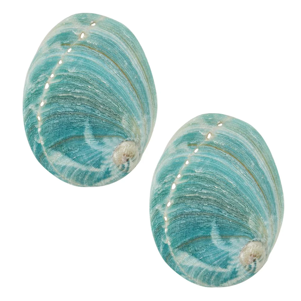 Shell Abalone Bowl Shells Sea Aquarium Burning Tank Smudging Natural Decor Seashell Burner Ornament Seashells Altar Ashtray
Shell Abalone Bowl Shells Sea Aquarium Burning Tank Smudging Natural Decor Seashell Burner Ornament Seashells Altar Ashtray