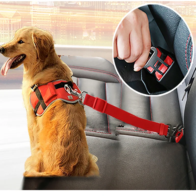 pet Dog seat belt for small car seat belt nylon leash harnais pour chien pet supplies arnes perro mediano true love dogs harness
pet Dog seat belt for small car seat belt nylon leash harnais pour chien pet supplies arnes perro mediano true love dogs harness