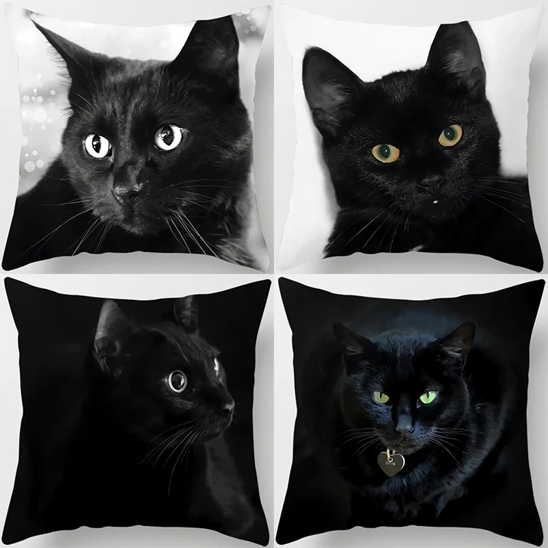 Black Cat Print Square Pillow Cover Home Decor Car Sofa Cushion Cover Holiday Decoration Accessories Ornaments 45x45cm50x50cm
Black Cat Print Square Pillow Cover Home Decor Car Sofa Cushion Cover Holiday Decoration Accessories Ornaments 45x45cm50x50cm