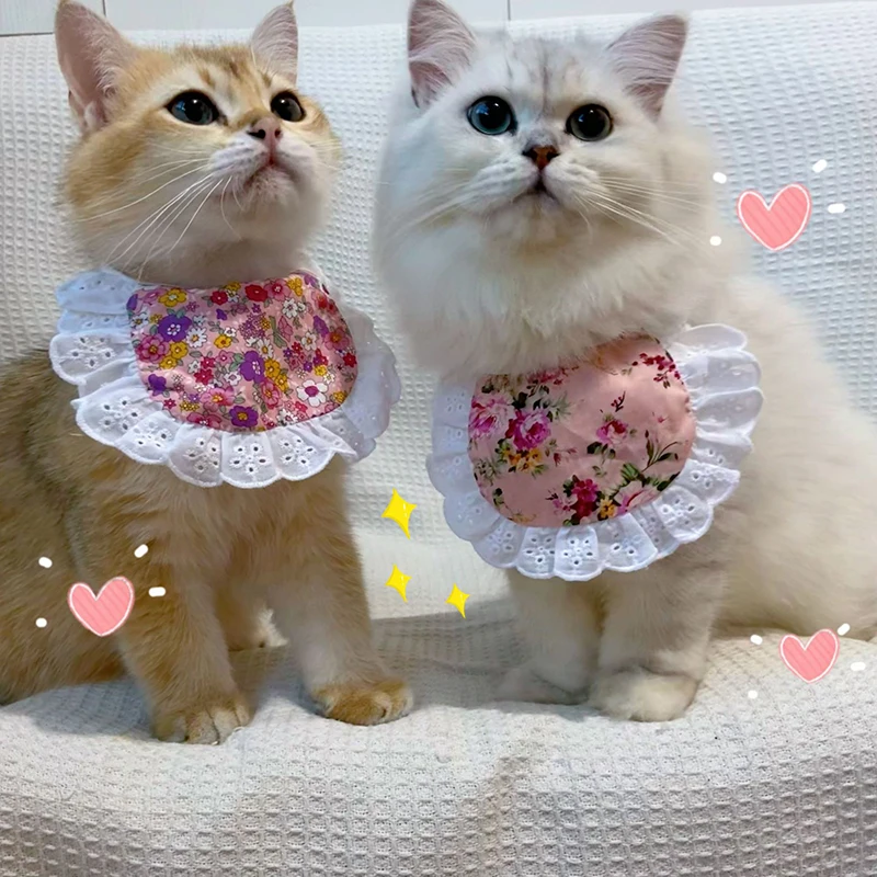 Cute INS Dog Saliva Towel Floral Bib Cat Saliva Towel Lace Bib Cat Bib Sweet Decorative Universal Teddy Puppy Pet Supply Clothes
Cute INS Dog Saliva Towel Floral Bib Cat Saliva Towel Lace Bib Cat Bib Sweet Decorative Universal Teddy Puppy Pet Supply Clothes