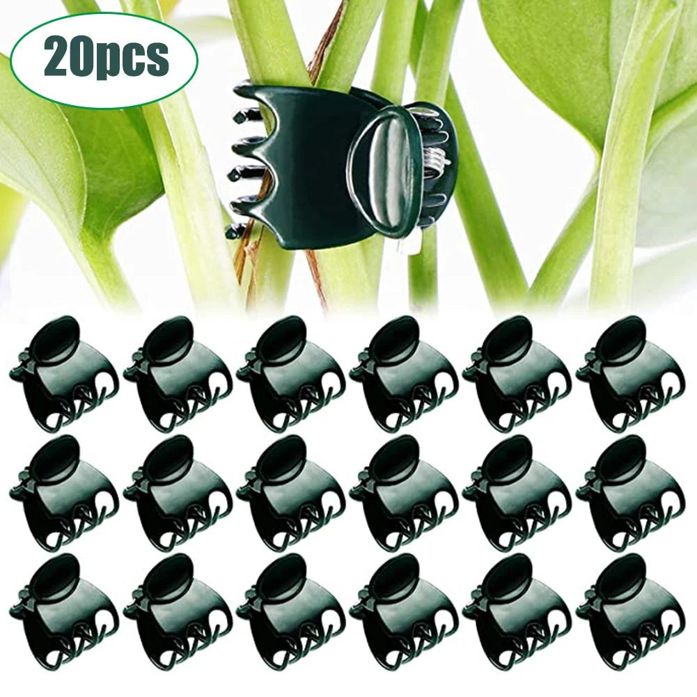 20pcs Plant Support Clips Butterfly Orchid Stem Clip Garden Vine Fixing Clip Plastic Flower Fruit Vegetable Support Garden Tool
20pcs Plant Support Clips Butterfly Orchid Stem Clip Garden Vine Fixing Clip Plastic Flower Fruit Vegetable Support Garden Tool