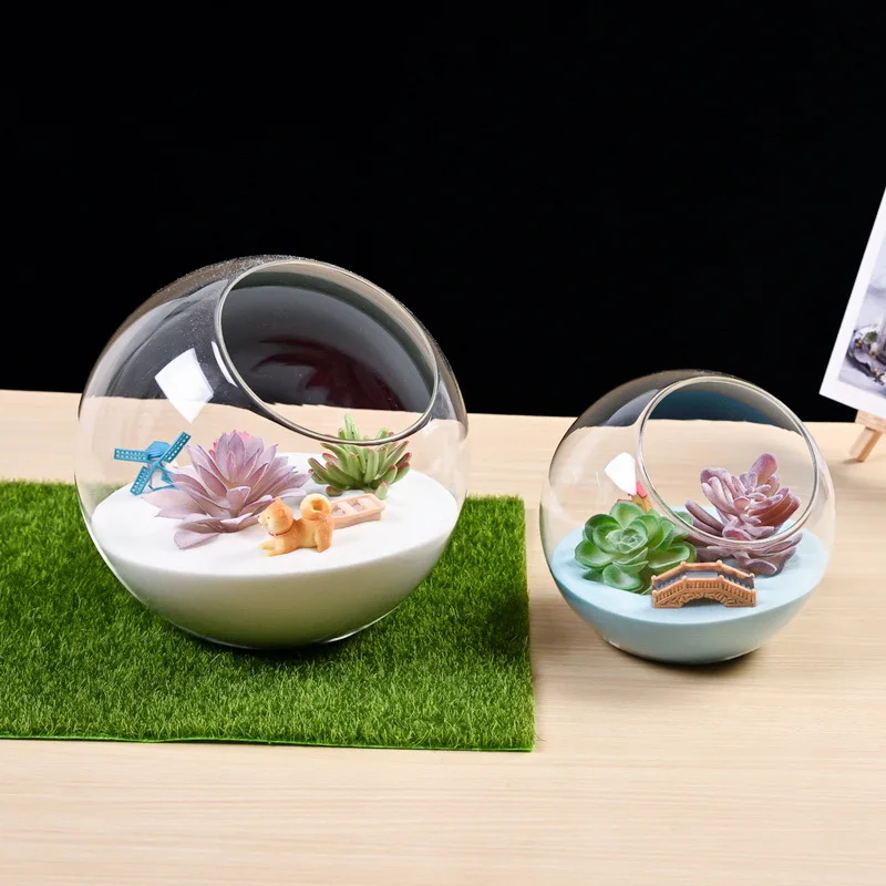 Transparent Oblique Spherical Glass Vase Micro Landscape Bottle Moss Succulent Plant Terrarium Container Flower Pots Home Decor
Transparent Oblique Spherical Glass Vase Micro Landscape Bottle Moss Succulent Plant Terrarium Container Flower Pots Home Decor