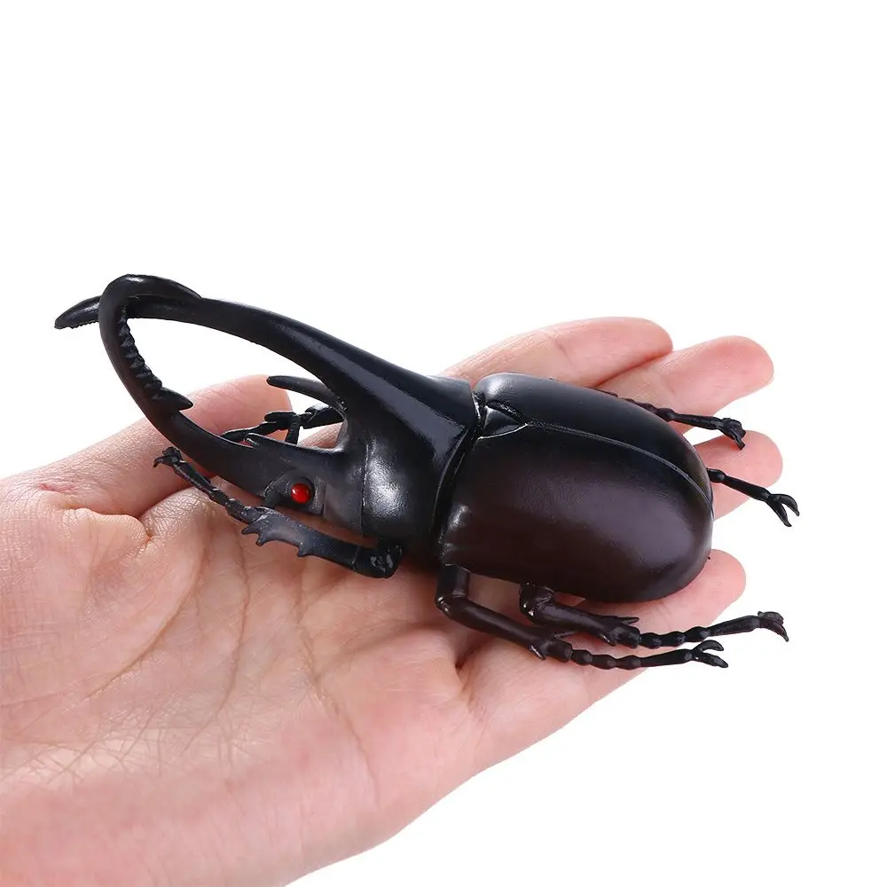 

Игрушка искусственный жук, Имитация животных, игрушка-насекомые, фигурки жуков, игрушки, специальная реалистичная модель жука, искусственный жук