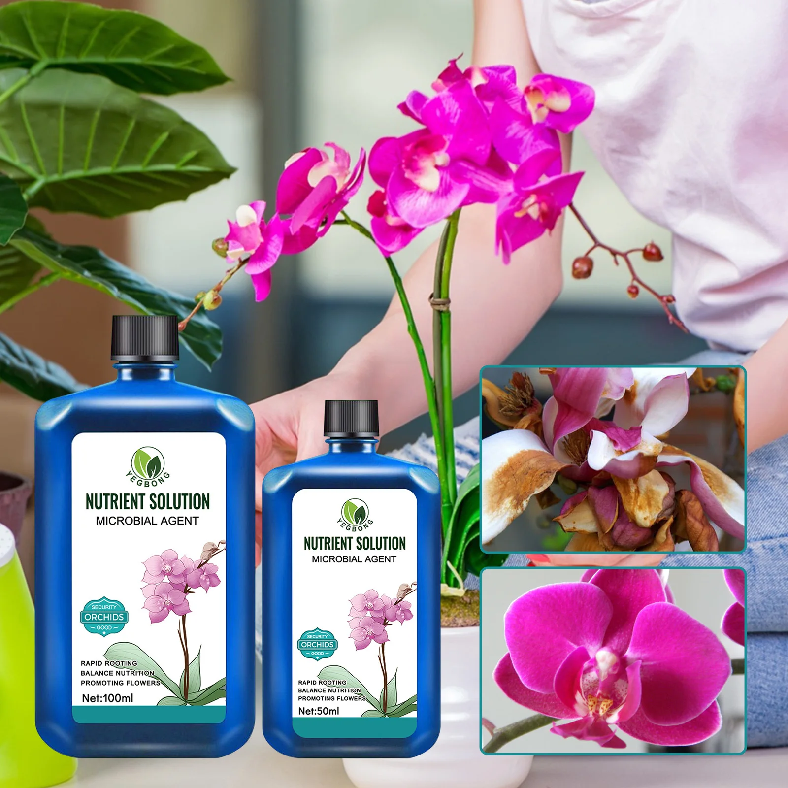 

Plant Nutrient Solution Promoting Growth Plant Growing Nutrient Bamboo Flowers Vegetable Fruit Hydroponic Plant Food Solution