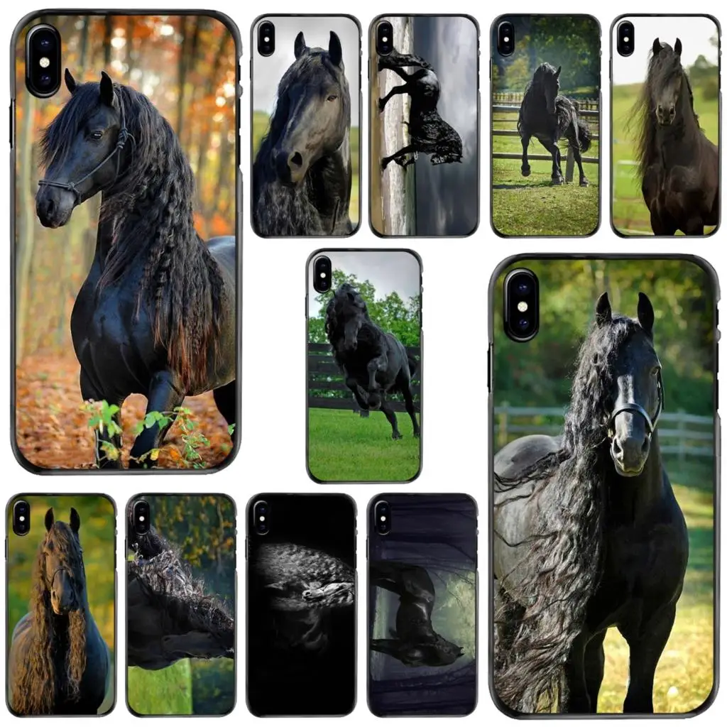 Frederik The Great beauty horse For Apple iPhone 11 12 13 14 Pro MAX Mini 5 5S SE 6 6S 7 8 Plus 10 X XR XS Hard Phone Cover Case
Frederik The Great beauty horse For Apple iPhone 11 12 13 14 Pro MAX Mini 5 5S SE 6 6S 7 8 Plus 10 X XR XS Hard Phone Cover Case