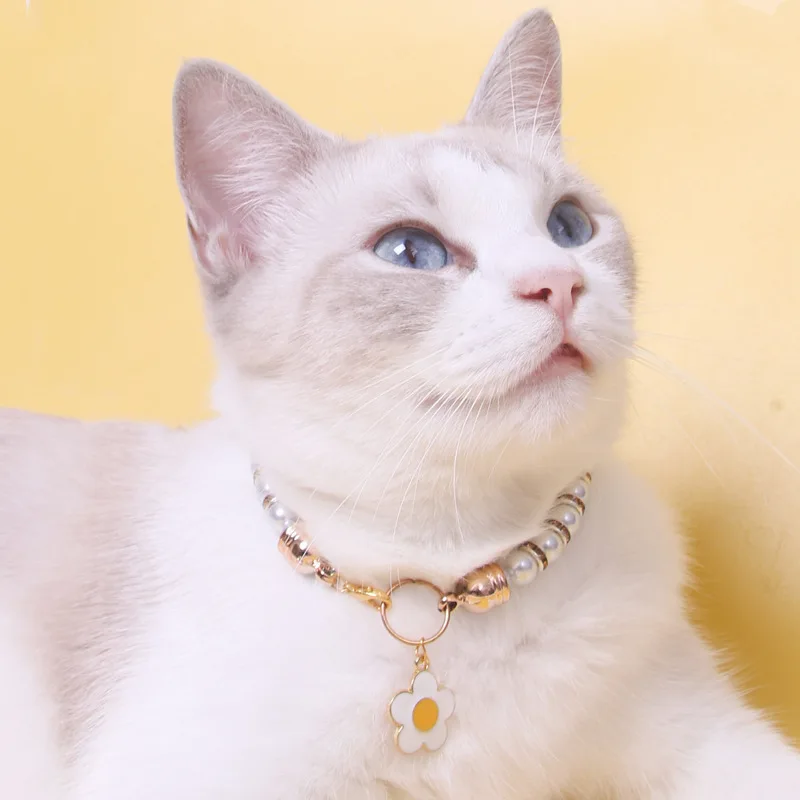 Artificial pearl collar cat necklace accessories Crystal diamond cat pet fashion accessories for small dog cat accessories
Artificial pearl collar cat necklace accessories Crystal diamond cat pet fashion accessories for small dog cat accessories