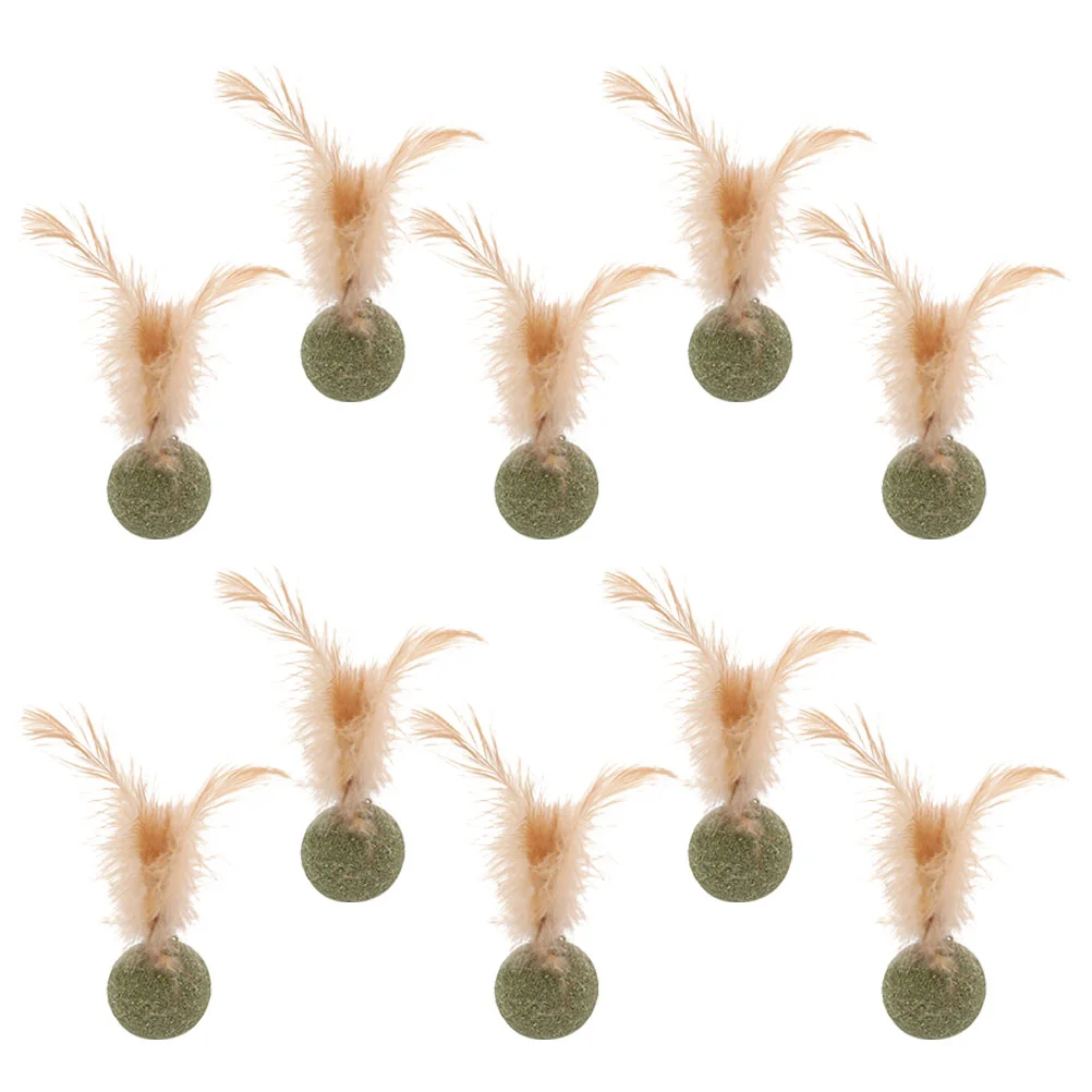 10Pcs Catnip Balls Catnip Cat Catnip Catnip For Indoor Cats Catnip for Playing Kitten Cat Home
10Pcs Catnip Balls Catnip Cat Catnip Catnip For Indoor Cats Catnip for Playing Kitten Cat Home