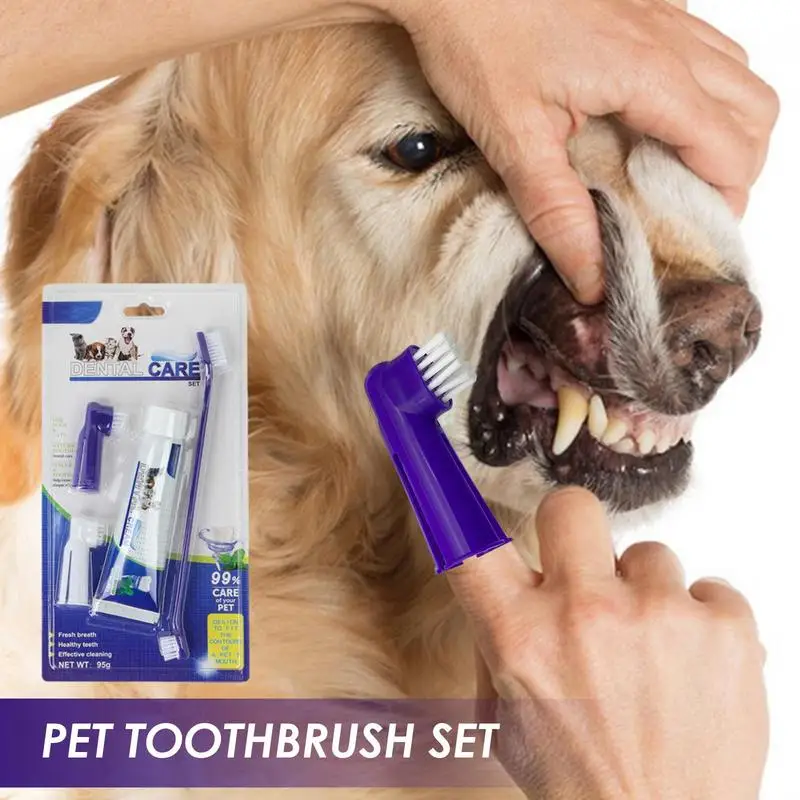 

Зубная щетка и зубная паста для собак, набор для ухода за зубами в домашних условиях, для домашних животных, для домашних питомцев, приют для собак и кошек, инструмент для ухода за зубами с плохим дыханием