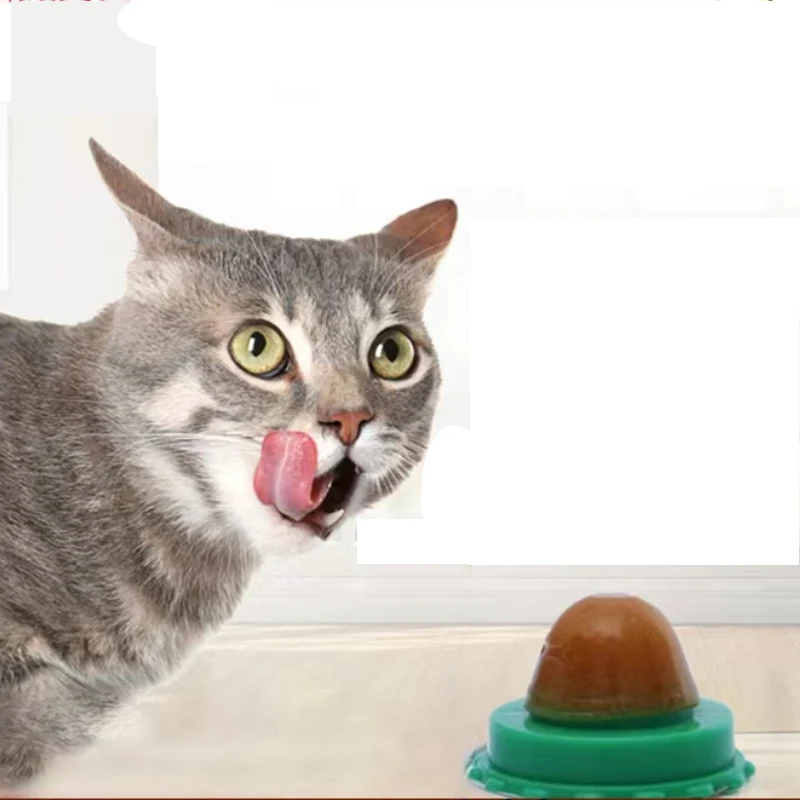 Cat Toy Lovely Snacks Catnip Sugar Solid Catnip Sugar Long Strong Pill Energy Ball Cats Nutrition Cream Licking Solid Candy 2022
Cat Toy Lovely Snacks Catnip Sugar Solid Catnip Sugar Long Strong Pill Energy Ball Cats Nutrition Cream Licking Solid Candy 2022