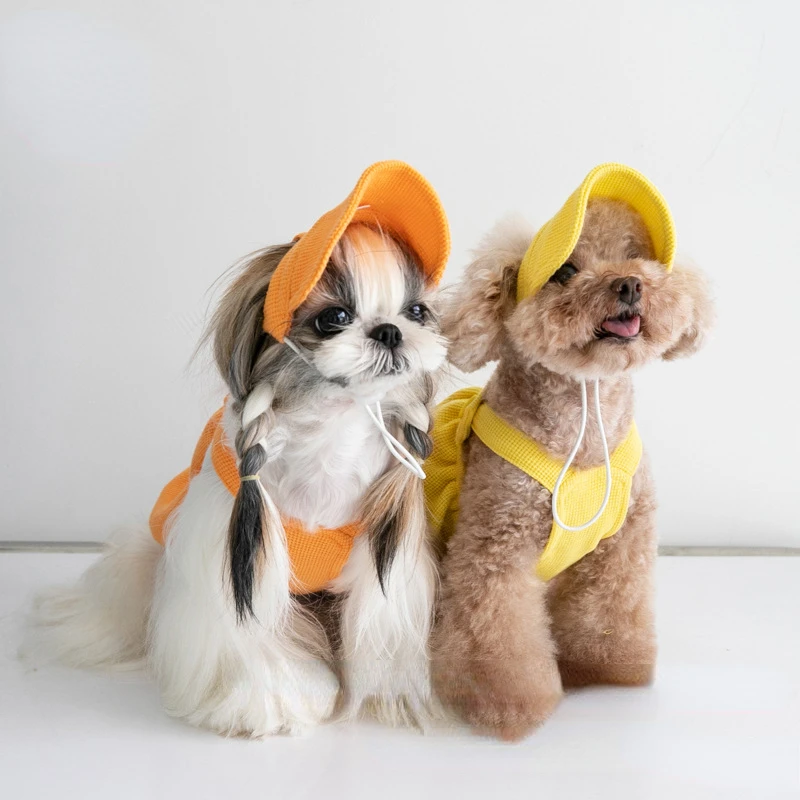 New Thickening Sportswear Straps Skirt Pet Clothes Cat and Dog Clothing Teddy Bear Coat Hat Kawaii Clothes Dog Clothes Designer
New Thickening Sportswear Straps Skirt Pet Clothes Cat and Dog Clothing Teddy Bear Coat Hat Kawaii Clothes Dog Clothes Designer