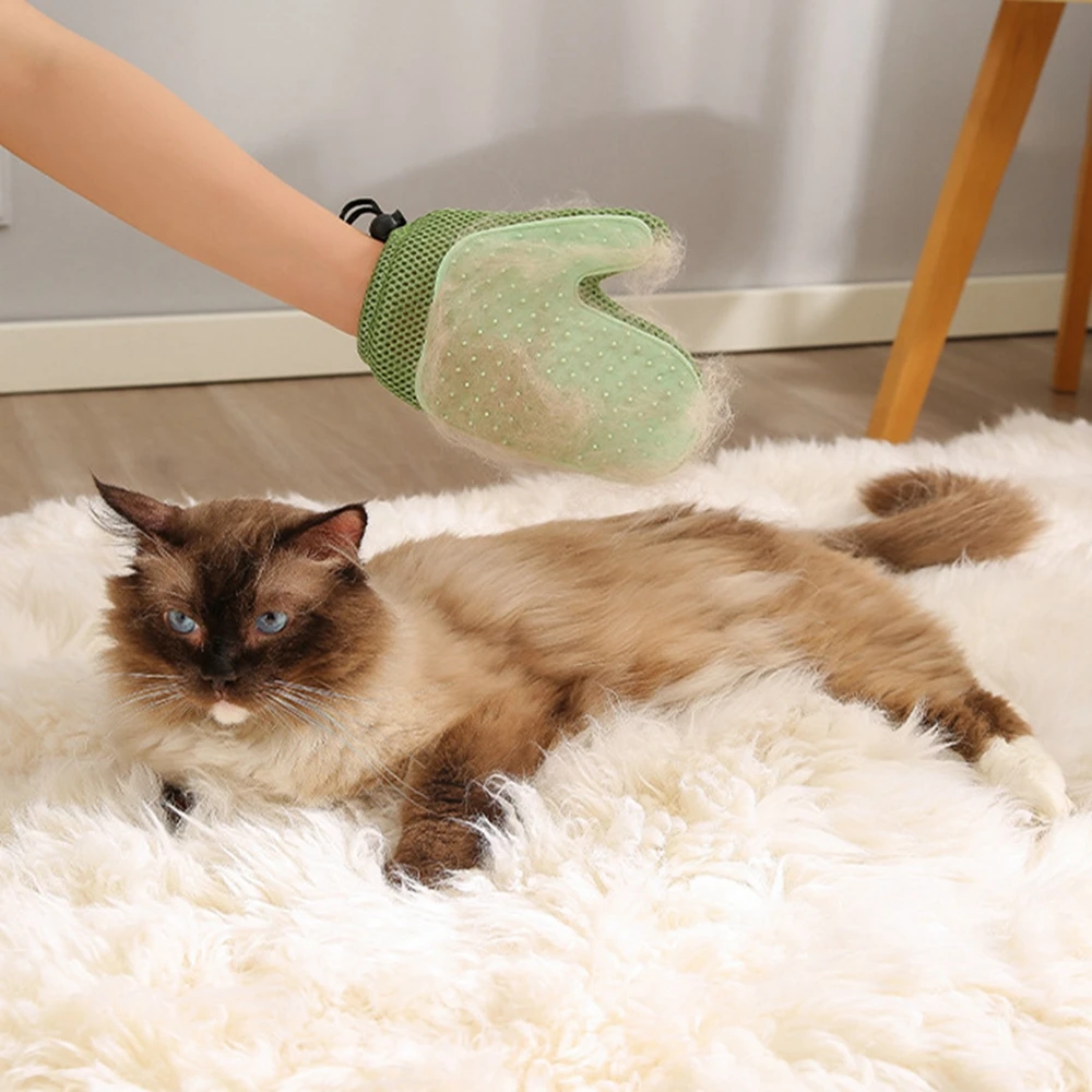 Durable for Small Medium Large Breed Pet Pet Bath Gloves Brush Easy to Wash Dog Cat Bathing Shampoo Brush Dog Cat Brush
Durable for Small Medium Large Breed Pet Pet Bath Gloves Brush Easy to Wash Dog Cat Bathing Shampoo Brush Dog Cat Brush