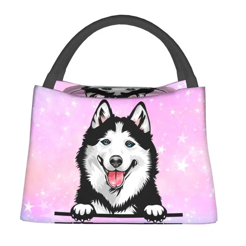 Custom Siberian Husky Lunch Bags Women Warm Cooler Insulated Lunch Boxes for Office Travel
Custom Siberian Husky Lunch Bags Women Warm Cooler Insulated Lunch Boxes for Office Travel