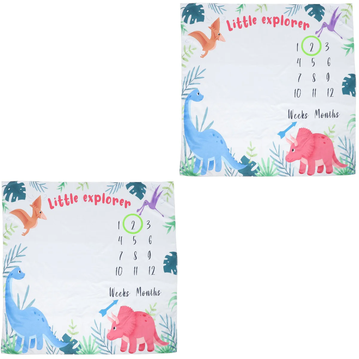 2 Sets Blankets Milestone Blankets Monthly Photo Props
2 Sets Blankets Milestone Blankets Monthly Photo Props