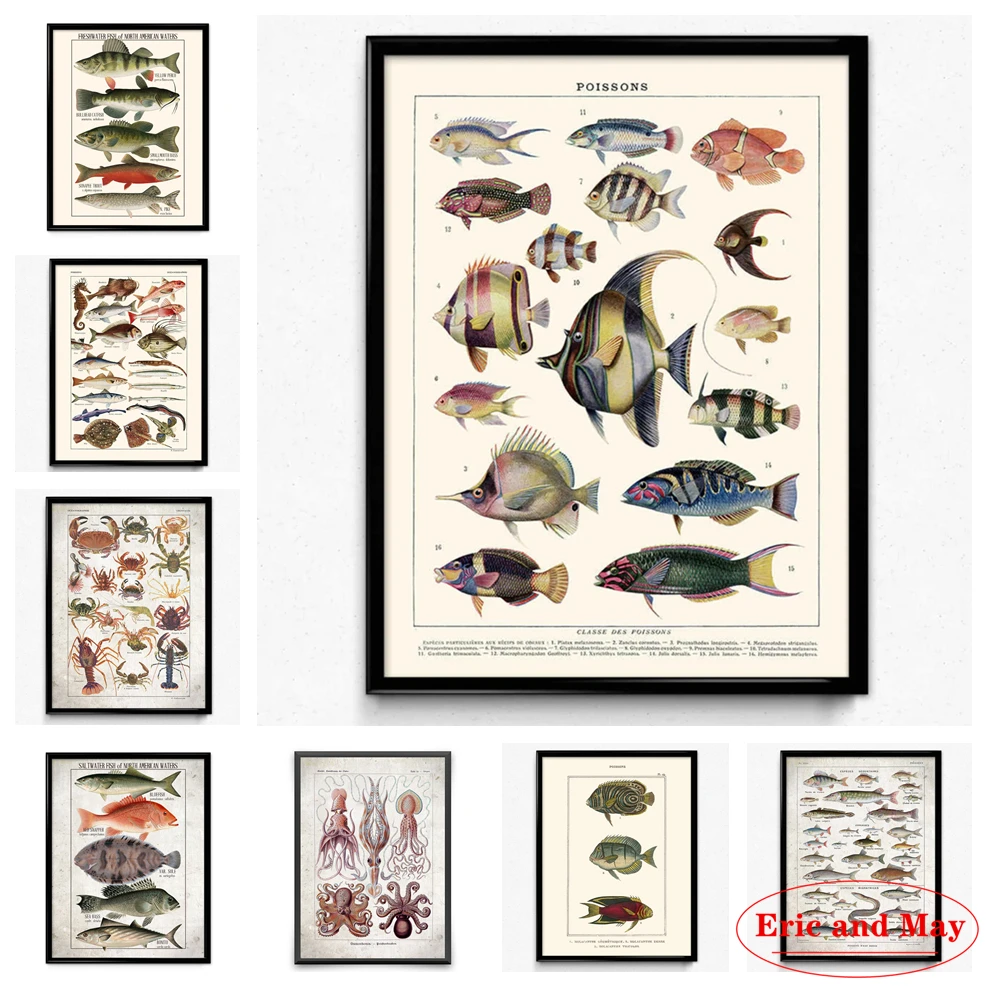 Marine Life Fish Illustration Antique Botanical Retro Home Art Decoration Bedroom Kitchen Wall Picture Canvas Painting Poster
Marine Life Fish Illustration Antique Botanical Retro Home Art Decoration Bedroom Kitchen Wall Picture Canvas Painting Poster