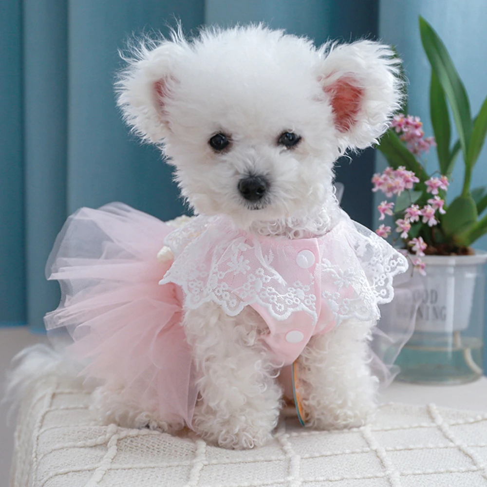 Pet Dress Shirt Cute Printed Dog Princess Dress Puppy Summer Apparel Clothes Dog Skirt Shirt for Small Dog Cats Puppy
Pet Dress Shirt Cute Printed Dog Princess Dress Puppy Summer Apparel Clothes Dog Skirt Shirt for Small Dog Cats Puppy