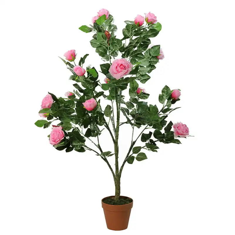 Potted Green and Artificial Rose Garden Tree Pampas decoration wedding Groomsman gifts Dry flowers for resin Blue flowers artif
Potted Green and Artificial Rose Garden Tree Pampas decoration wedding Groomsman gifts Dry flowers for resin Blue flowers artif