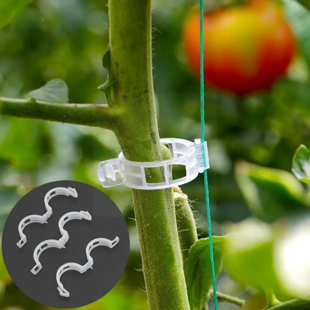 50pcs Plastic Grafting Clips Watermelon Garden Plant Grow Stalks Support Upright Fix Vegetable Supplies Vine Flower Garden C4o1
50pcs Plastic Grafting Clips Watermelon Garden Plant Grow Stalks Support Upright Fix Vegetable Supplies Vine Flower Garden C4o1