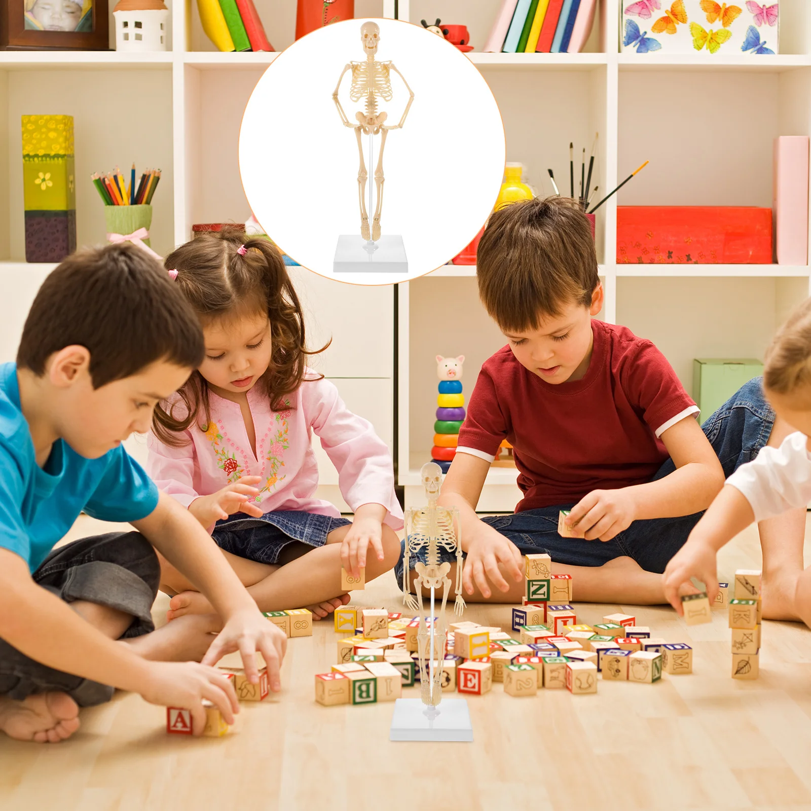 Model Kids Human Toys Mini Size Anatomy Life Mannequin Toy Miniature Body Full Plastic Educational Manikin Assembly Poseable
Model Kids Human Toys Mini Size Anatomy Life Mannequin Toy Miniature Body Full Plastic Educational Manikin Assembly Poseable