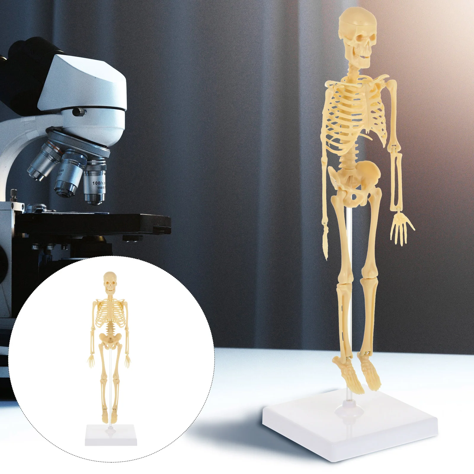 Human DIY Kids Toy Plastic Simulation Mannequin Puzzle Assembly Manikin
Human DIY Kids Toy Plastic Simulation Mannequin Puzzle Assembly Manikin